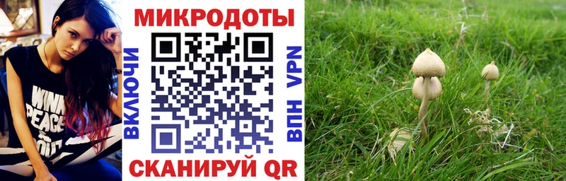 Псилоцибиновые грибы мицелий даркнет сайт Пятигорск